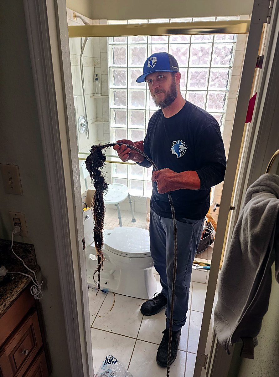 Roots pulled from a main line, cleared same visit by Alpha-Plumbing Services in Goodyear AZ